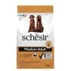 SchesirSchesir Medium maintenance (pollo)