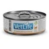 FarminaFarmina Vet Life Convalescence feline umido