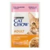 PurinaPurina Cat Chow Adult (salmone e fagiolini)
