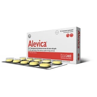 InnovetInnovet Restomyl Dentalcroc per gatti