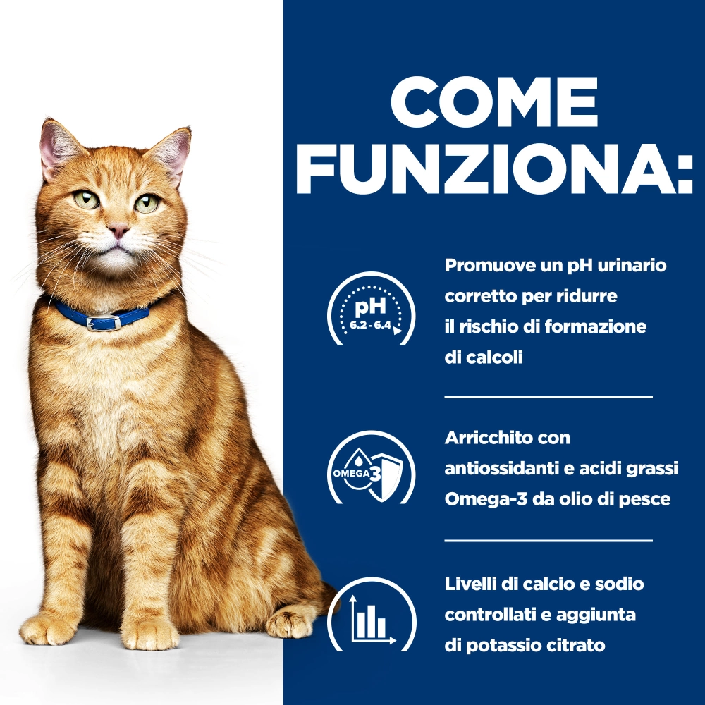Hill'sHill's Prescription Diet c/d Multicare feline spezzatino